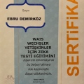 Resmi büyüt: certificate 3