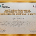 Resmi büyüt: certificate 7