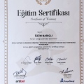 Resmi büyüt: certificate 1