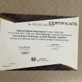 Resmi büyüt: certificate 4