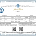 Resmi büyüt: certificate 7