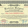 Resmi büyüt: certificate 13