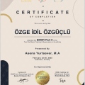 Resmi büyüt: certificate 13