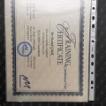 Resmi büyüt: certificate 3