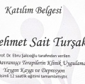 Resmi büyüt: certificate 10