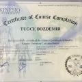 Resmi büyüt: certificate 11