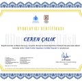 Resmi büyüt: certificate 3