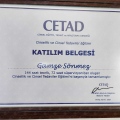 Resmi büyüt: certificate 2