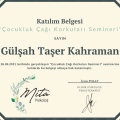 Resmi büyüt: certificate 7