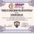 Resmi büyüt: certificate 9
