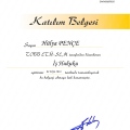 Resmi büyüt: certificate 6