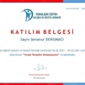 Resmi büyüt: certificate 8