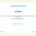 Resmi büyüt: certificate 11