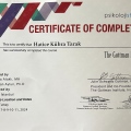Resmi büyüt: certificate 4