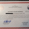 Resmi büyüt: certificate 9