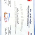 Resmi büyüt: certificate 6