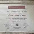 Resmi büyüt: certificate 13