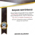 Resmi büyüt: certificate 6