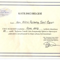 Resmi büyüt: certificate 26