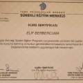 Resmi büyüt: certificate 1