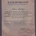 Resmi büyüt: certificate 7