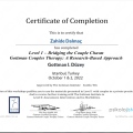Resmi büyüt: certificate 3