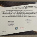 Resmi büyüt: certificate 15