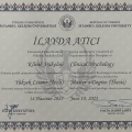 Resmi büyüt: certificate 2