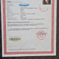 Resmi büyüt: certificate 8