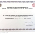Resmi büyüt: certificate 6