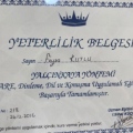 Resmi büyüt: certificate 7