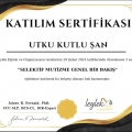 Resmi büyüt: certificate 8