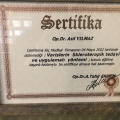 Resmi büyüt: certificate 4