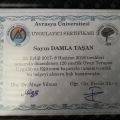 Resmi büyüt: certificate 2