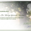 Resmi büyüt: certificate 24