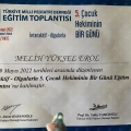 Resmi büyüt: certificate 13