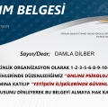 Resmi büyüt: certificate 37