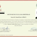 Resmi büyüt: certificate 4