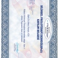 Resmi büyüt: certificate 36