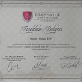 Resmi büyüt: certificate 2