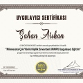 Resmi büyüt: certificate 1