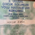 Resmi büyüt: certificate 1