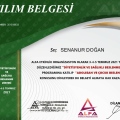 Resmi büyüt: certificate 8