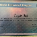 Resmi büyüt: certificate 6