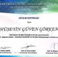 Resmi büyüt: certificate 12