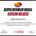 Resmi büyüt: certificate 1