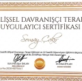 Resmi büyüt: certificate 3