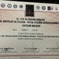 Resmi büyüt: certificate 41