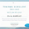 Resmi büyüt: certificate 6