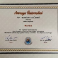 Resmi büyüt: certificate 1